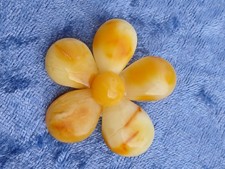 eine bernsteinbrosche aus