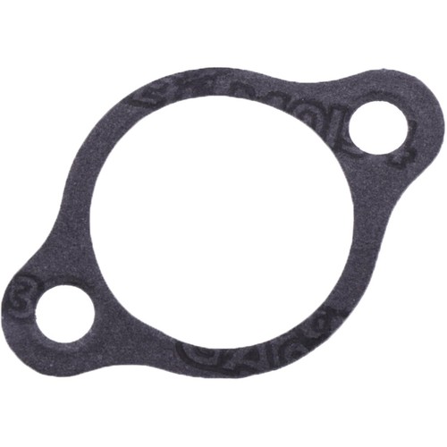 Dichtung steuerkettenspanner - dichtung,