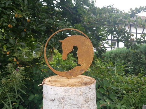 Pferd yin yang - pferd,