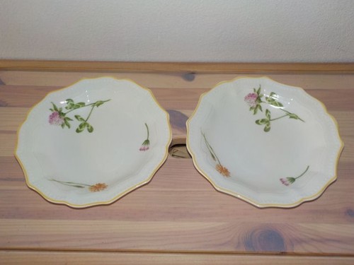 Villeroy boch garden 2 - &,