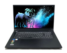 Captiva Highend Gaming I69-093 17,3" FHD 144Hz i7-12700H 32GB 500GB RTX 3070 Ti