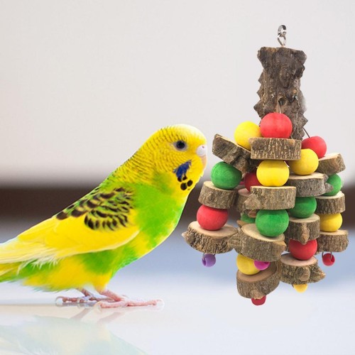 Vogel spielzeug papagei - vogel,