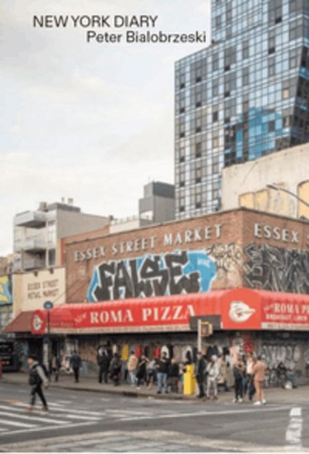 New york diary peter - diary,