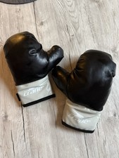 Crane Kinder Boxhandschuhe 6