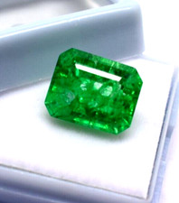 AAA ++ Qualität lose grüne