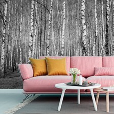 VINYL FOTOTAPETE Tapete Wandbilder XXL Schwarz Weiß Wald Birken Bäume Retro 3924