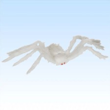 Weiße Witwe Riesenspinne 72cm