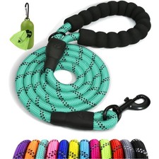 Starke Hundeleine mit Lead