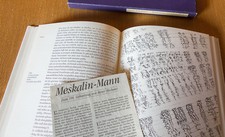 Meskalin + Co: Henri Michaux -