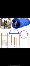 Hund Agility Set Hunde Agility Training