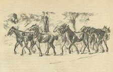 Max Liebermann - Geführte Pferde - Lithographie 1914