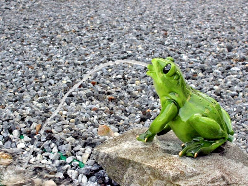 Frosch wasserspeier groß - frosch,