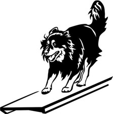 AUSTRALIAN SHEPHERD Aufkleber - Autoaufkleber - sticker - AGILITY Wippe #28