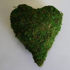 6x Moosherz Moos Herz