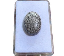 Stingray Coral Cabochon