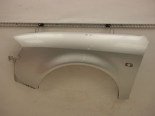 Kotflügel links vorn LY7W (