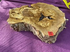 Olivenholz - Stamm -