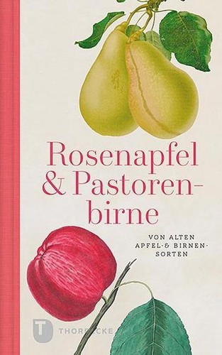 Rosenapfel und pastorenbirne - rosenapfel,