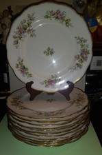 12 Royal Albert Moss Rose