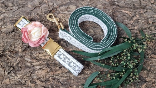 Hundehalsband und leine set - hundehalsband,