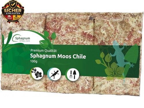Sphagnum moos moosziegel aus - moos,