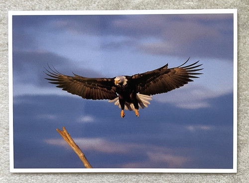 Postkarte amerikanischer - 1,