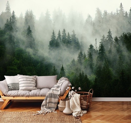Fototapete wald nebel - im,