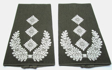 Rangabzeichen Heer Obers t Bw