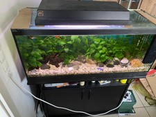 Aquarium 160 l, Zubehör