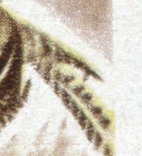 2272 Jagdwesen Fasan 20 Pf