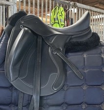 Acavallo Raffaello Dressage