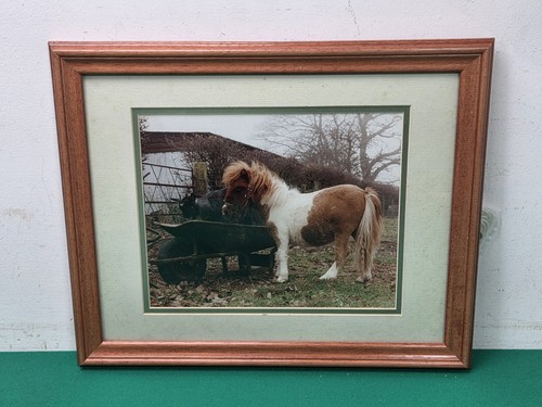 Gerahmtes farbfoto - gerahmtes,