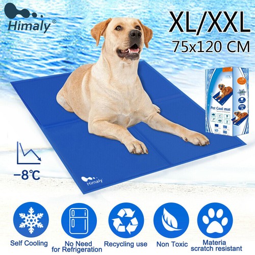 Kühlmatte wassermatte - m/xl,