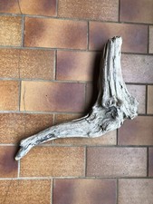 Treibholz Vom Bodensee 