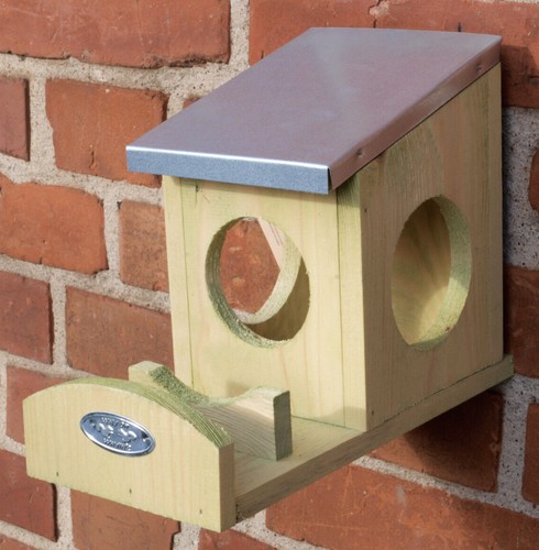 Eichhörnchen futterhaus für - eichhörnchen,