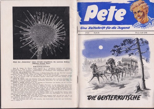 Pete 21 - pete,