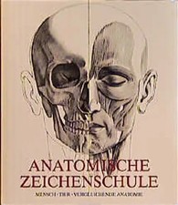 Anatomische Zeichenschule