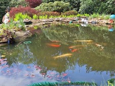 Teichzubehör Komplett Set von