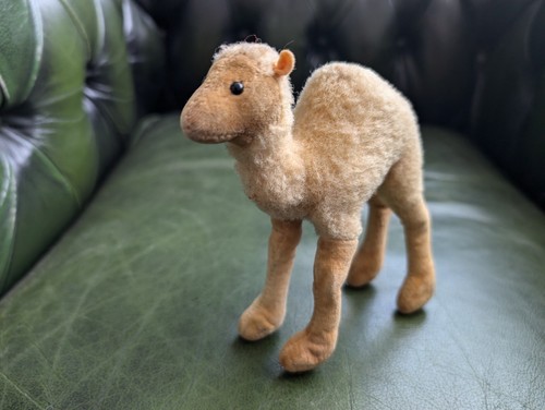 Steiff dromedar vintage 60er - dromedar,