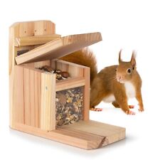 Waldfunk Eichhörnchen