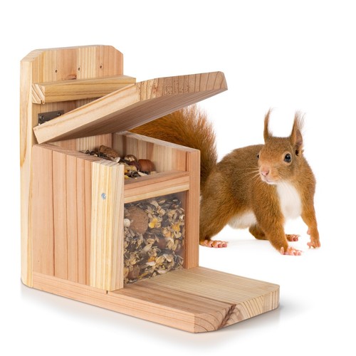 Waldfunk eichhörnchen - waldfunk,