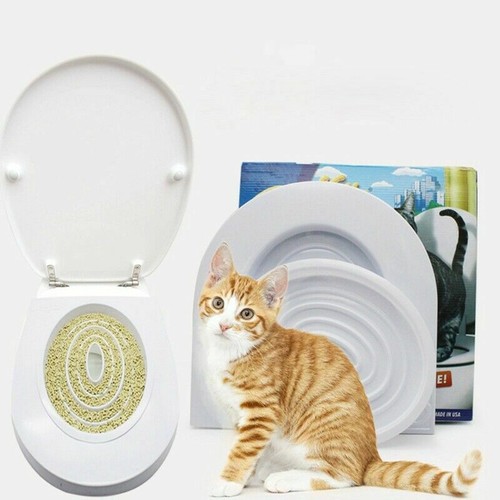 Hygienische katze kätzchen - hygienische,