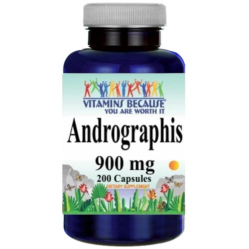 Andrographis 900mg premium - andrographis,