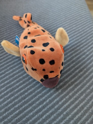 Perlsacktier kofferfisch rio - kofferfisch,