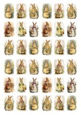 Wasserschiebefolie-Decalfolie-