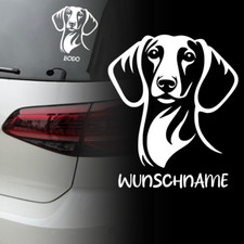 Dackel Auto Aufkleber  |