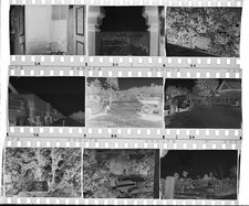 9x Original Negativ - 4x3,5cm