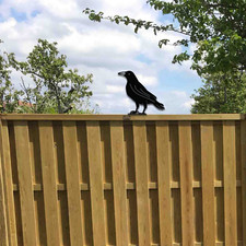 Metall Möwe Vogel, Metall