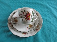 Seltmann Weiden Barock Bunte Blume  3tgl. Gedeck