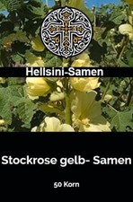 Gelbe Stockrose Alcea rugosa 100 Samen Hellsini®Samen